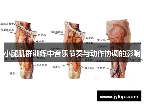 小腿肌群训练中音乐节奏与动作协调的影响