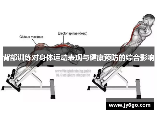 背部训练对身体运动表现与健康预防的综合影响